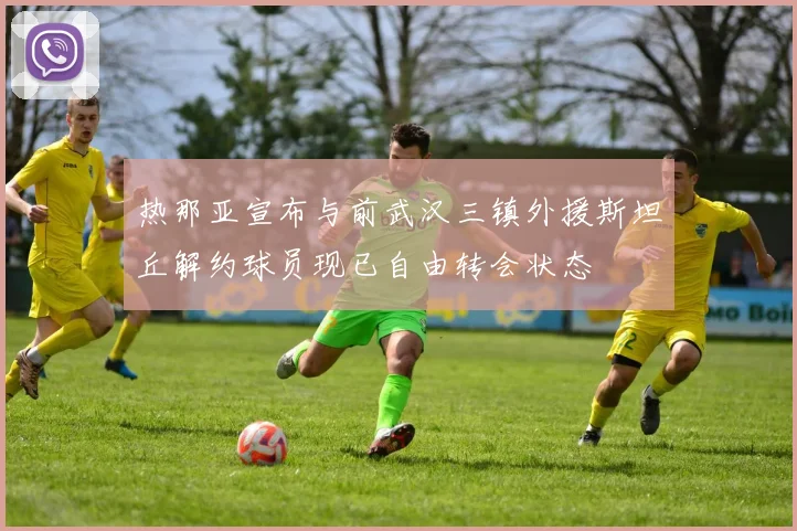 热那亚宣布与前武汉三镇外援斯坦丘解约球员现已自由转会状态